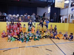 mini-DSCN0499